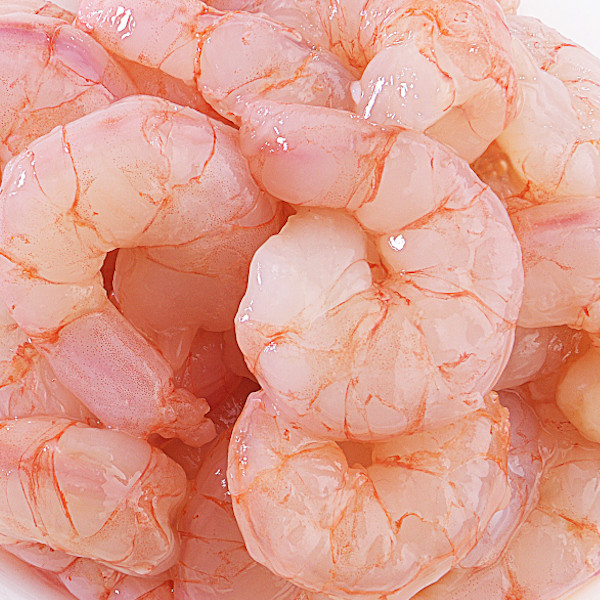 Gamba